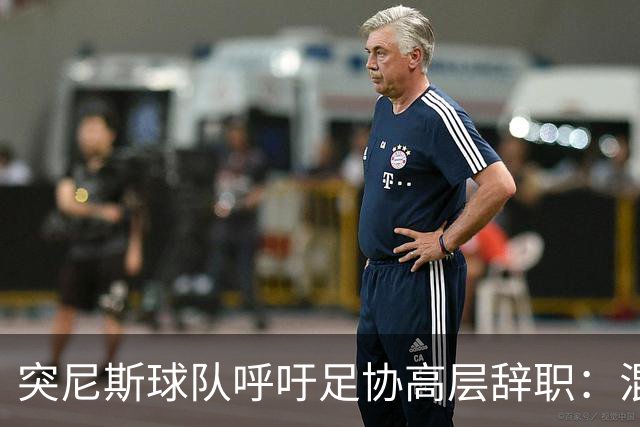 突尼斯球队呼吁足协高层辞职：混乱、治理不善、腐败、缺乏透明度